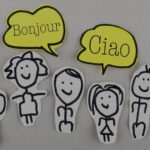 How do Languages Affect Studies?